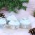 Muffinsformar floral christmas
