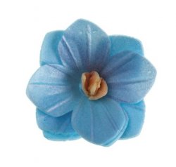 Ätbara waferblommor