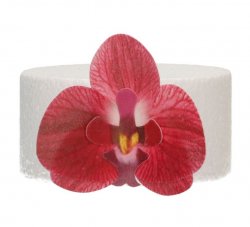 Ätbar tårtdekoration waferblomma Orkidé burgundy 10 st
