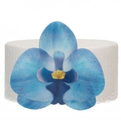 Ätbara waferdekorationer orkidéer