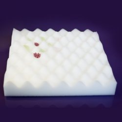 Purple Cupcakes - Flower Foam 