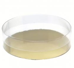 Transparent ask för praliner Ø10 cm