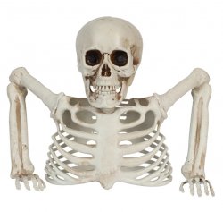 Skelettdekoration Halloween Groundbreaker