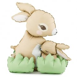 Folieballong kaniner