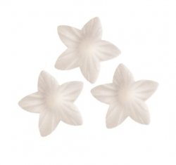 Vita waferblommor