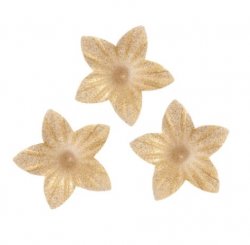 Guldfärgade waferblommor