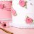 Vit cake drum 10-pack