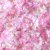 PME Ätbart Glitter Fairy Flowers Flakes