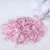 PME Ätbart Glitter Fairy Flowers Flakes