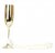 Champagneglas student
