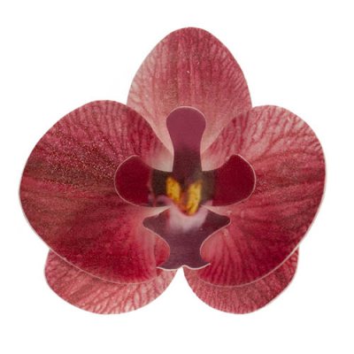 Ätbara waferdekorationer orkidéer
