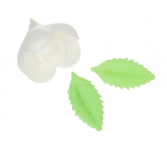 Waferblommor