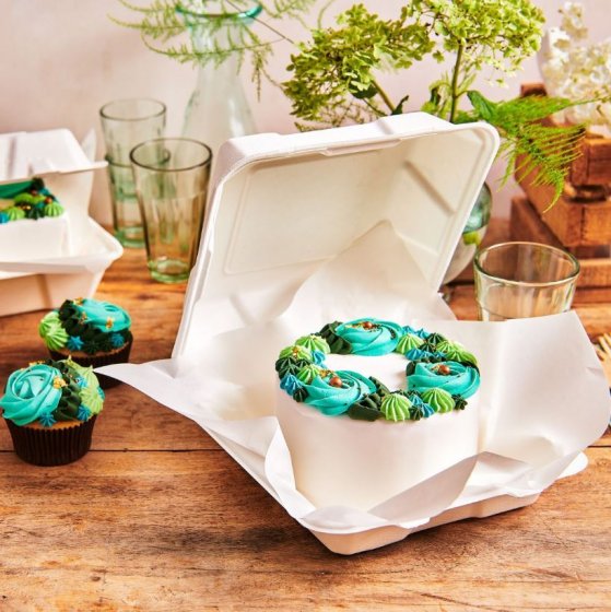 bento cake box