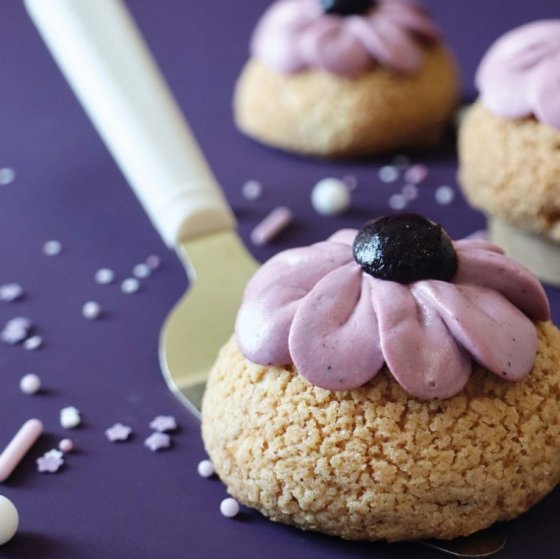 Blåbärspuré 500 g