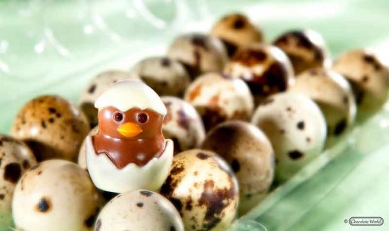Chocolate World Pralinform Chick from egg CW1786