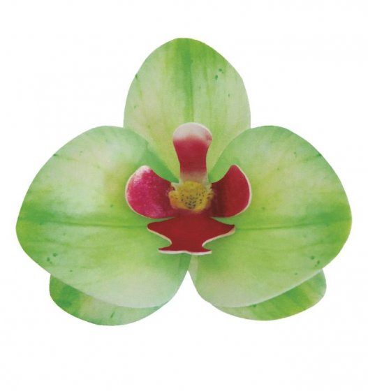 waferdekorationer grön orkidé