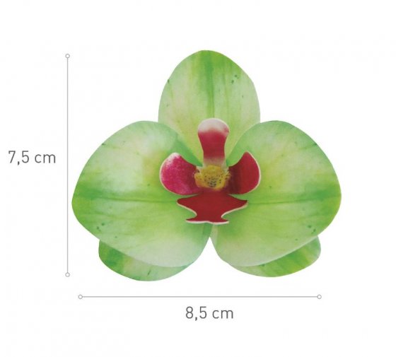 waferdekorationer grön orkidé