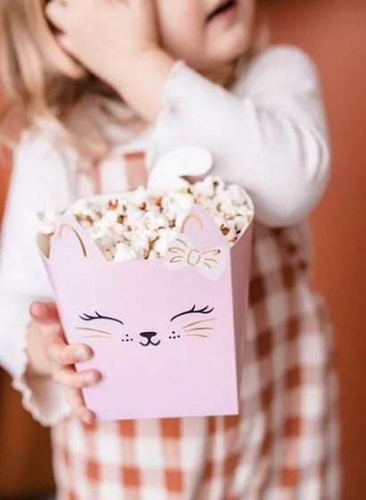 snack box katt