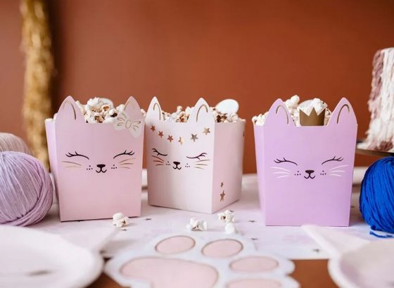 snack box katt