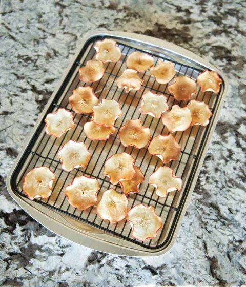 Nordic Ware Oven Baking Pan