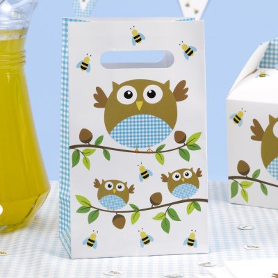 Little Owl Baby Boy Party Bags