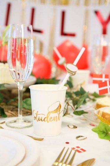 pappersmuggar student