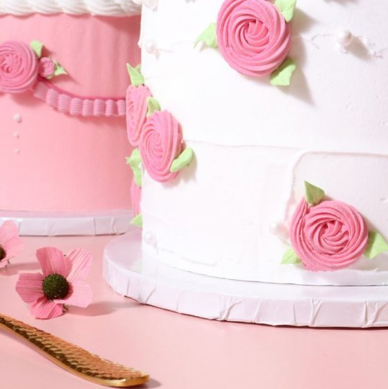 Vit cake drum 10-pack