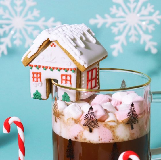 PME Utstickare för Pepparkakshus Mini