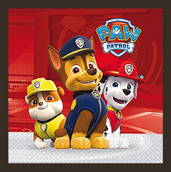 servetter paw patrol