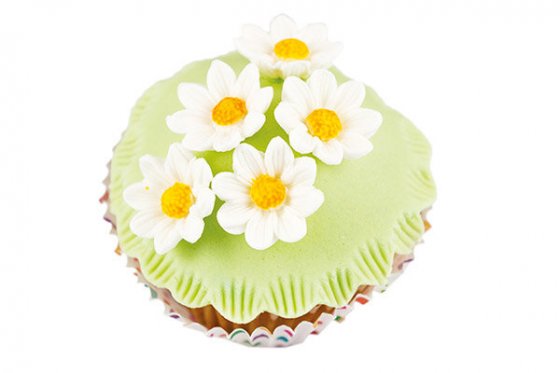 Silikonform Daisy
