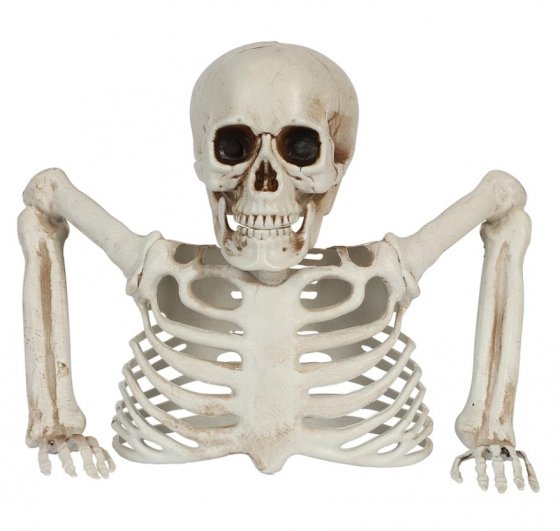 Skelettdekoration Halloween Groundbreaker