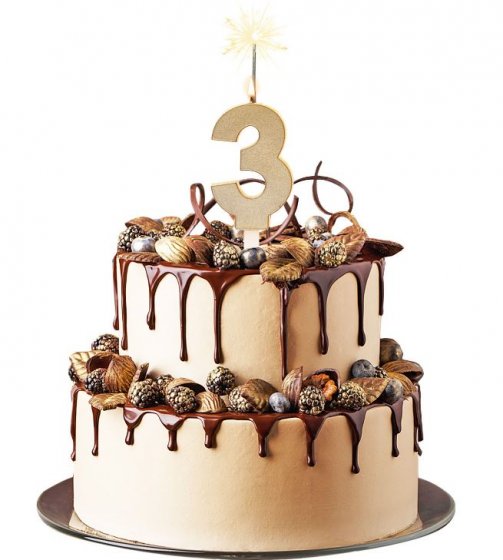 Tårtljus tomtebloss 3