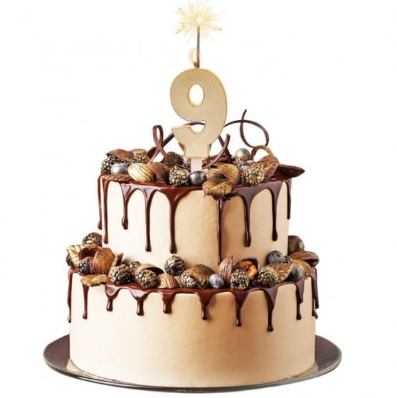 Tårtljus tomtebloss 9