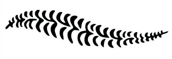 Tårtstencil Fern