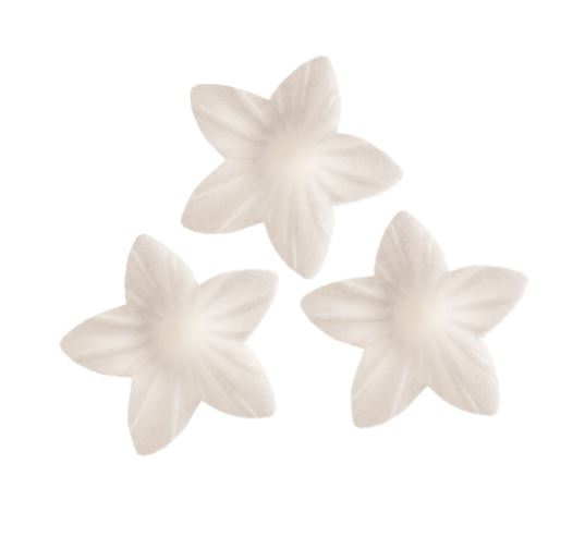 Vita waferblommor