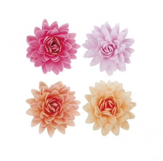 waferblommor