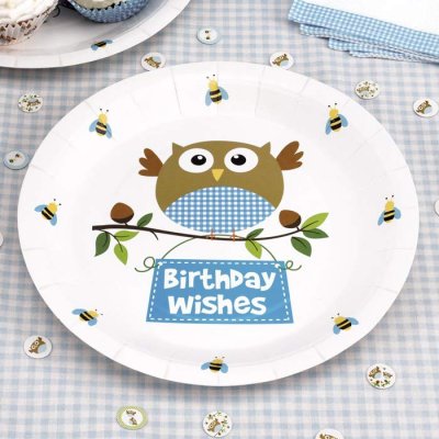 Papperstallrikar Little Owl Birthday Wishes Blå