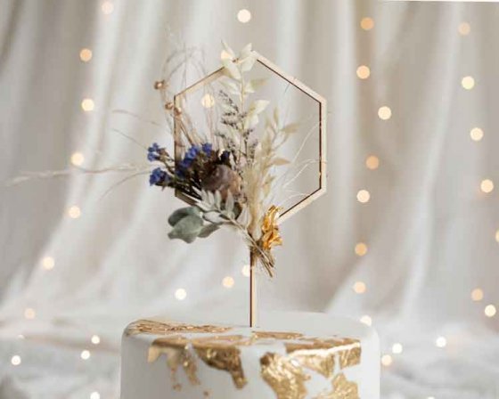 cake topper heaxgon