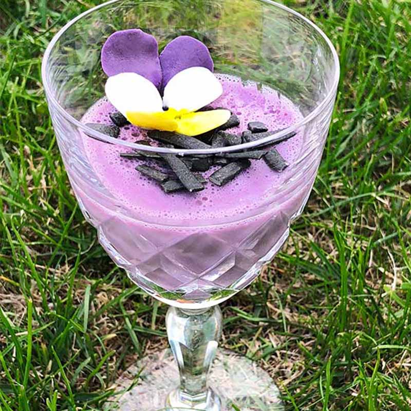 violpanacotta i glas